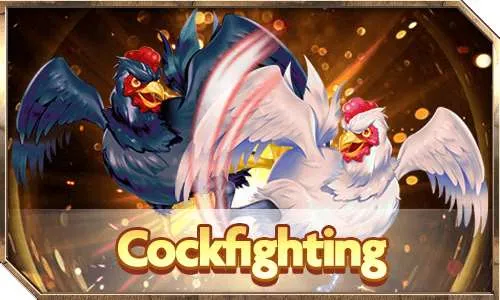 Cockfighting